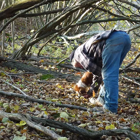 Castello Di Baccaresca Agroturismo *