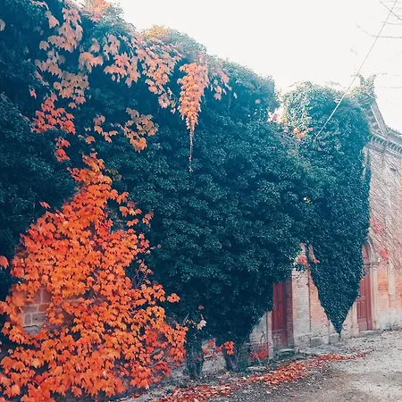 Castello Di Baccaresca