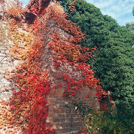 Castello Di Baccaresca Farm stay Branca