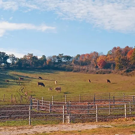 Castello Di Baccaresca * Branca