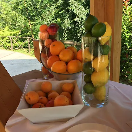 Castello Di Baccaresca Farm stay