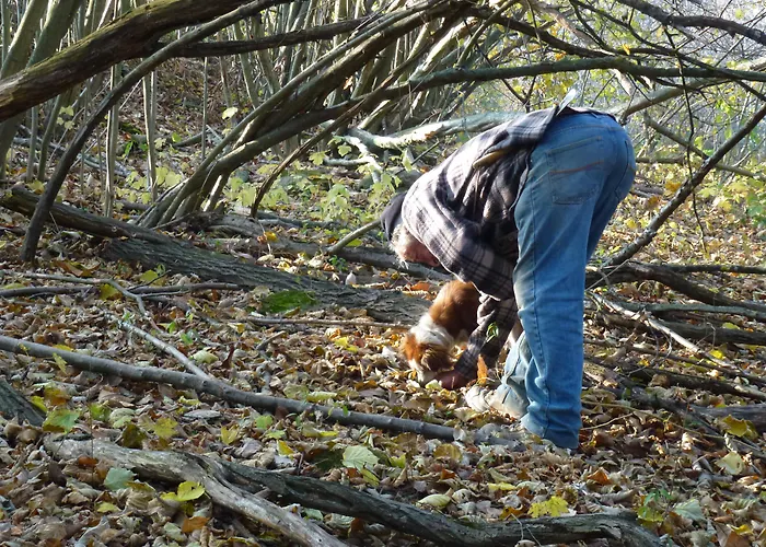 Castello Di Baccaresca Alloggio per agriturismo *