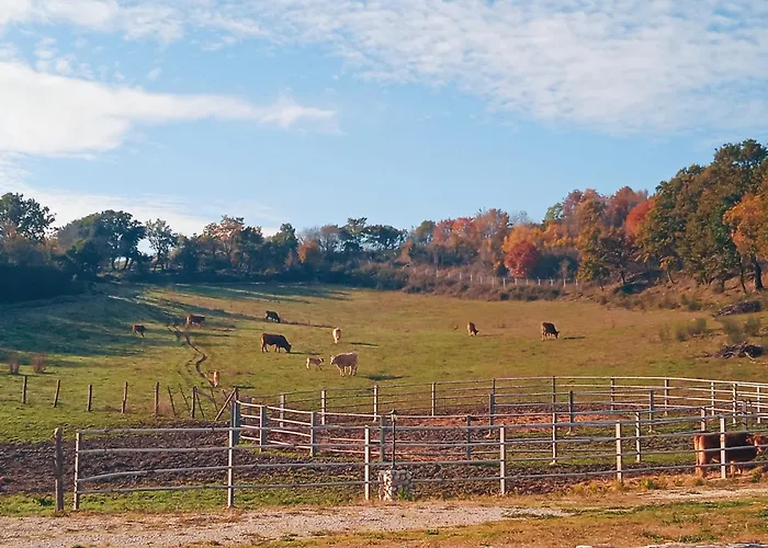 Castello Di Baccaresca * Branca